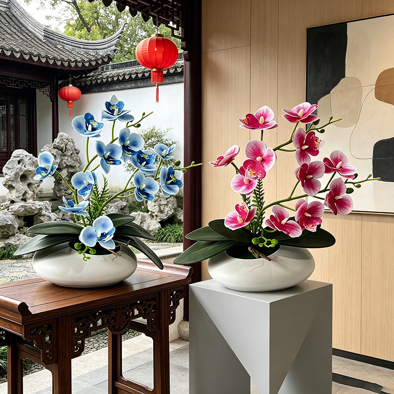 Photography Graduation - Orchidea Farfalla 12 Fiori Bonsai Piccolo