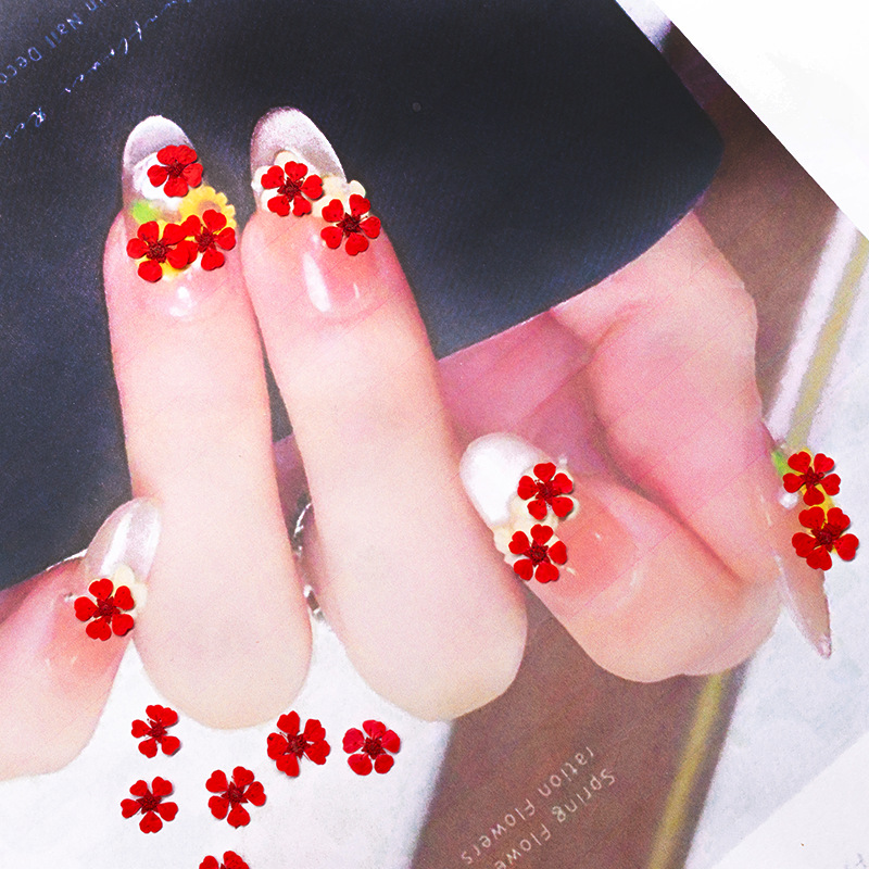 96 Pezzi Mini Fiori Pressati N - Photography Graduation recensione e prezzo