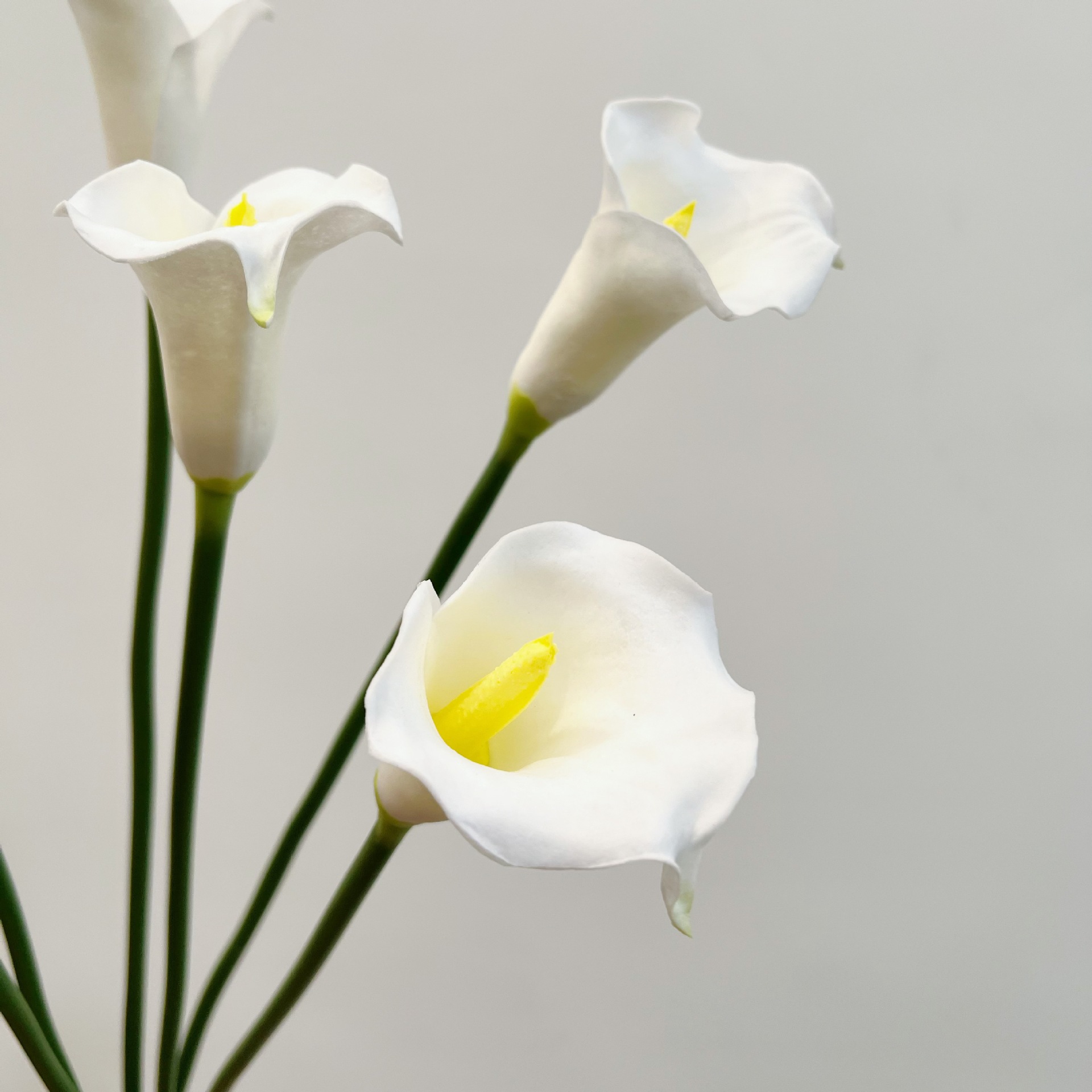 Fiore Artificiale di Calla a S - Photography Graduation recensione e prezzo