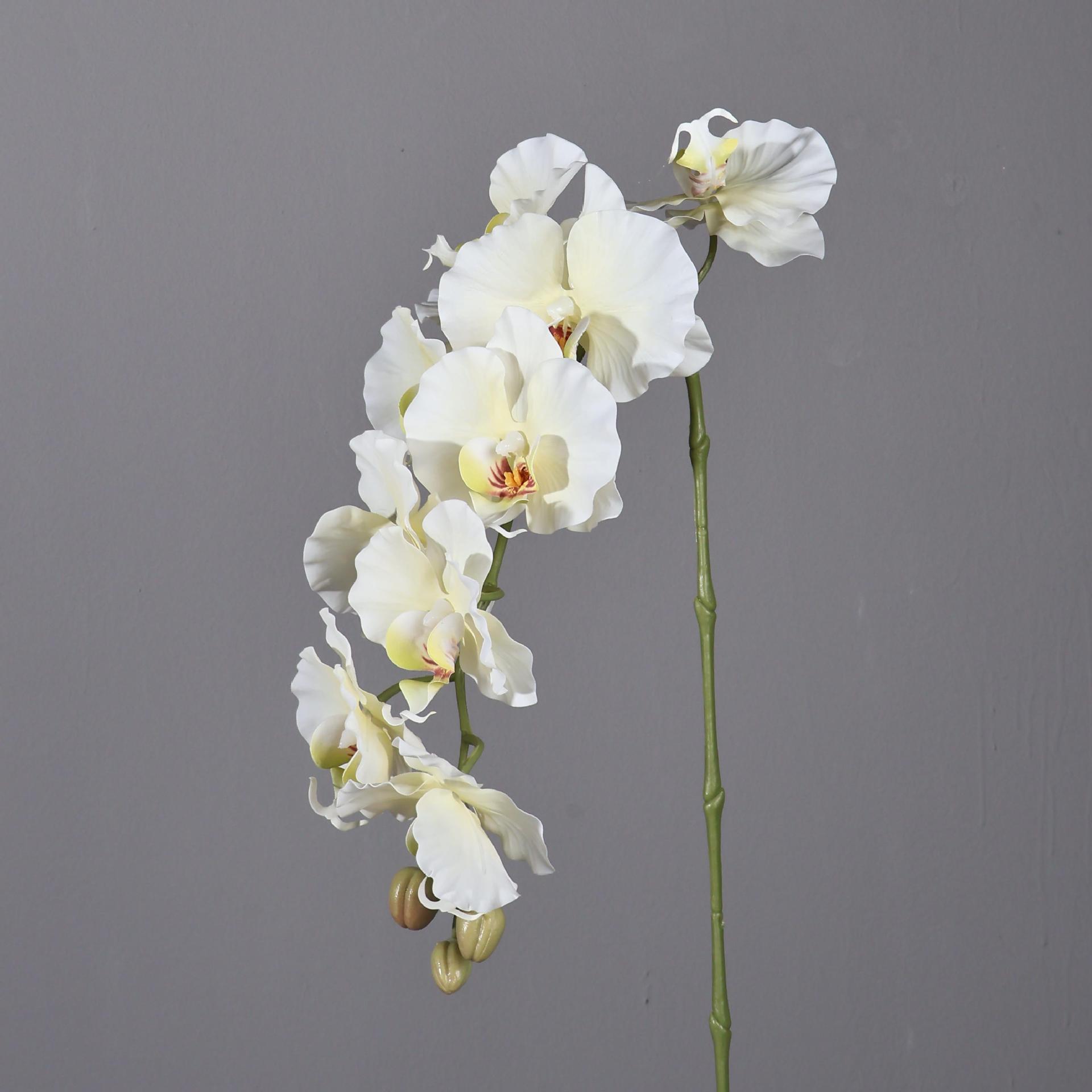 Phalaenopsis artificiale in st - Photography Graduation recensione e prezzo