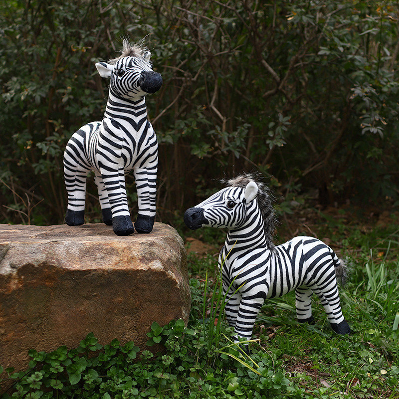 Pelicano bianco Creativo Zebra - Photography Zebra recensione e prezzo