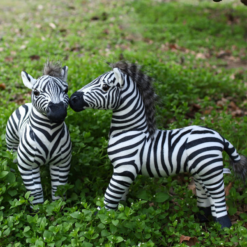 Pelicano bianco Creativo Zebra - Photography Zebra recensione e prezzo