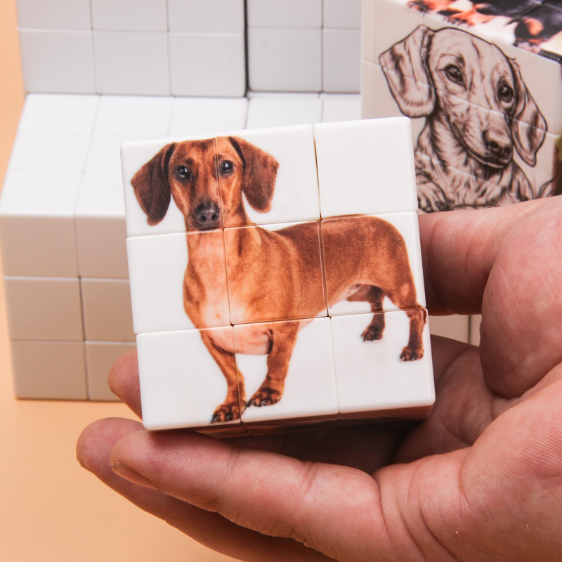 Cubi magici personalizzati, co - Photography Exhibition recensione e prezzo