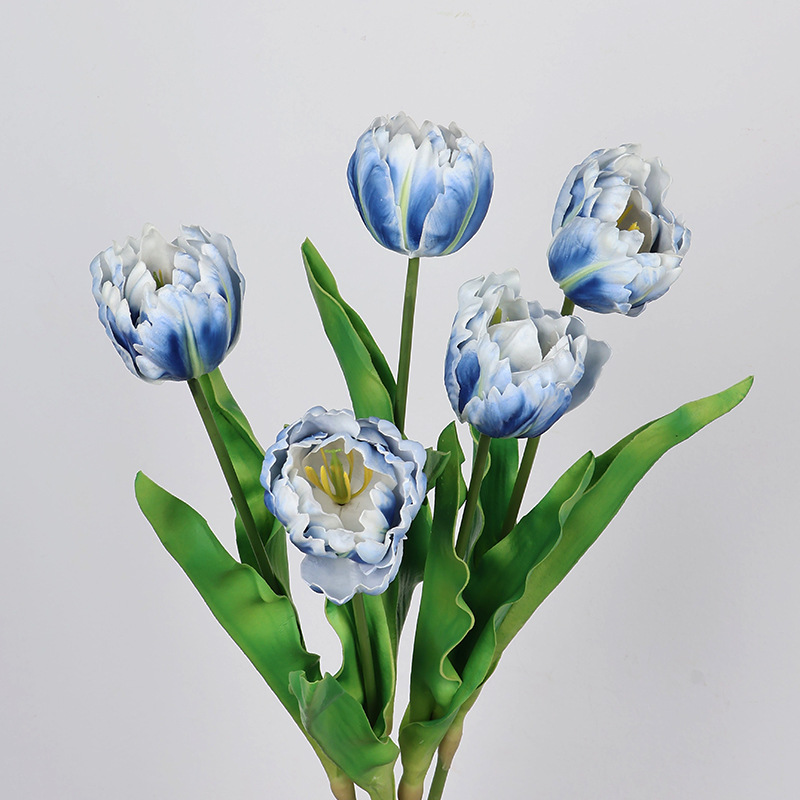 61 cm pappagallo artificiale t - Photography Graduation recensione e prezzo