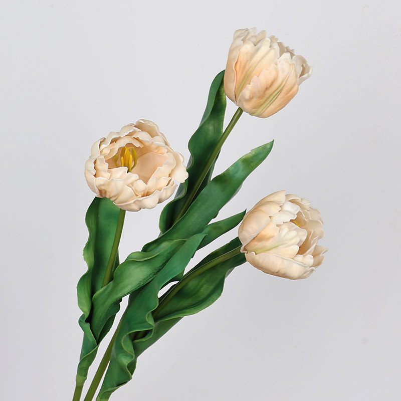 61 cm pappagallo artificiale t - Photography Graduation recensione e prezzo