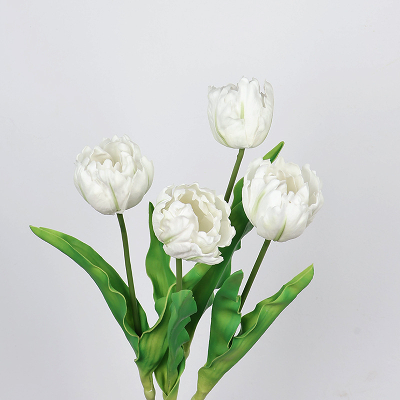 61 cm pappagallo artificiale t - Photography Graduation recensione e prezzo